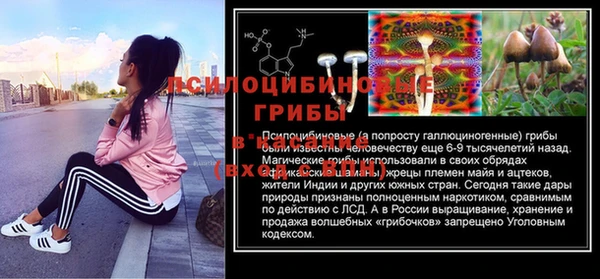 прущая мука Богородицк