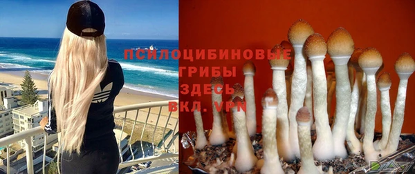 ешки Белоозёрский