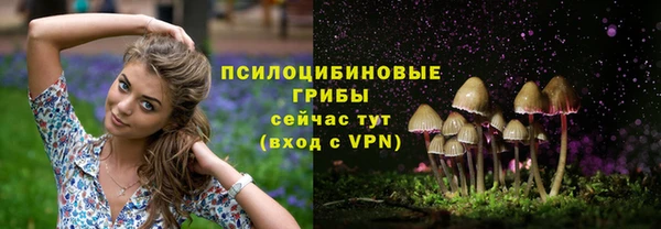 не бодяженный Богданович